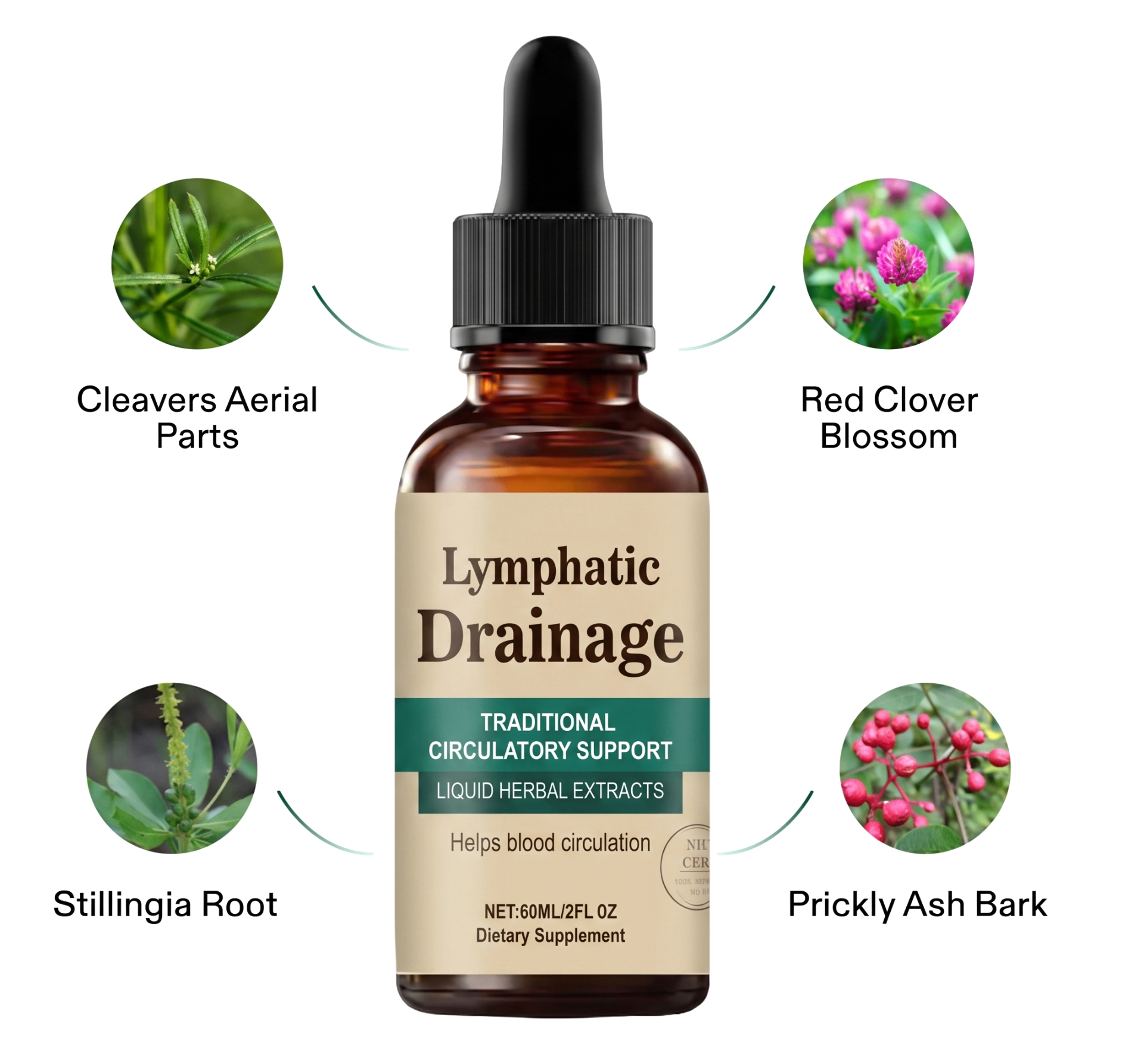 Lumora Lymphatic Drainage bottle with botanical ingredients